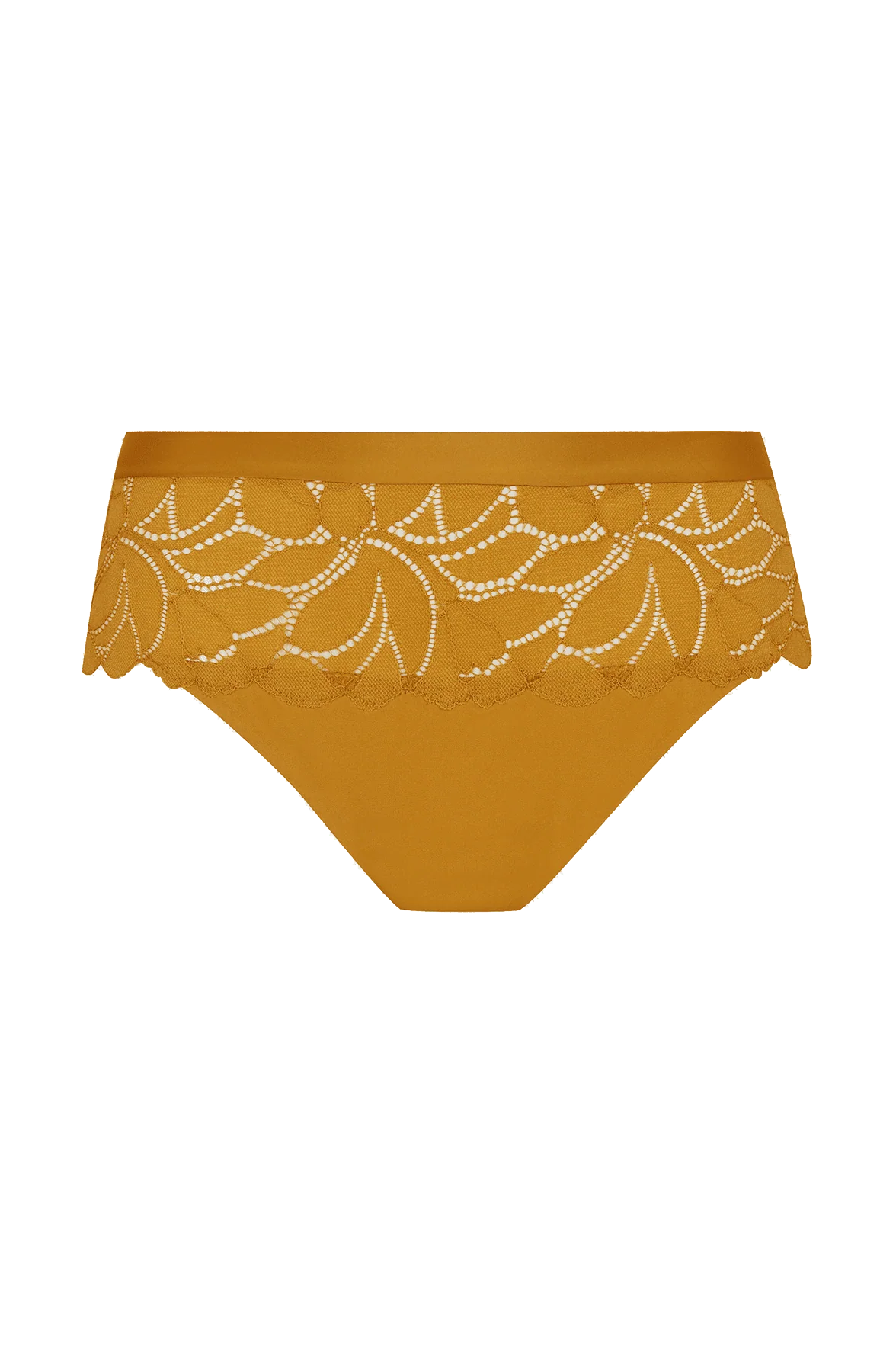Slip brésilien Dentelle Prodigieuse - Ocre - Image 5
